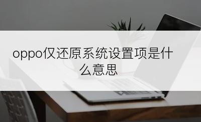 oppo仅还原系统设置项是什么意思