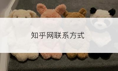 知乎网联系方式