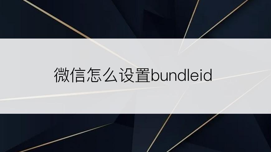 微信怎么设置bundleid