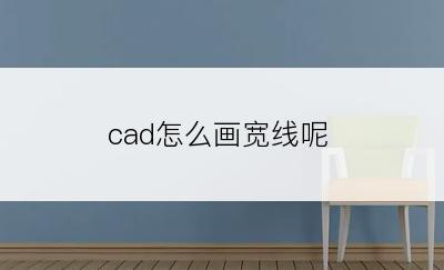 cad怎么画宽线呢