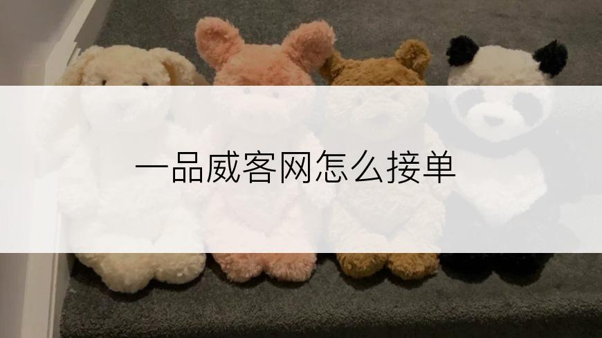 一品威客网怎么接单