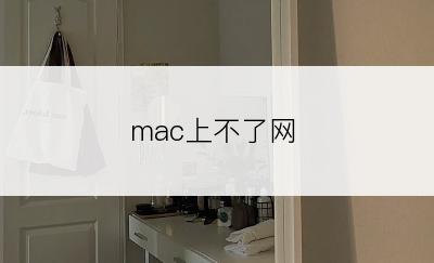 mac上不了网