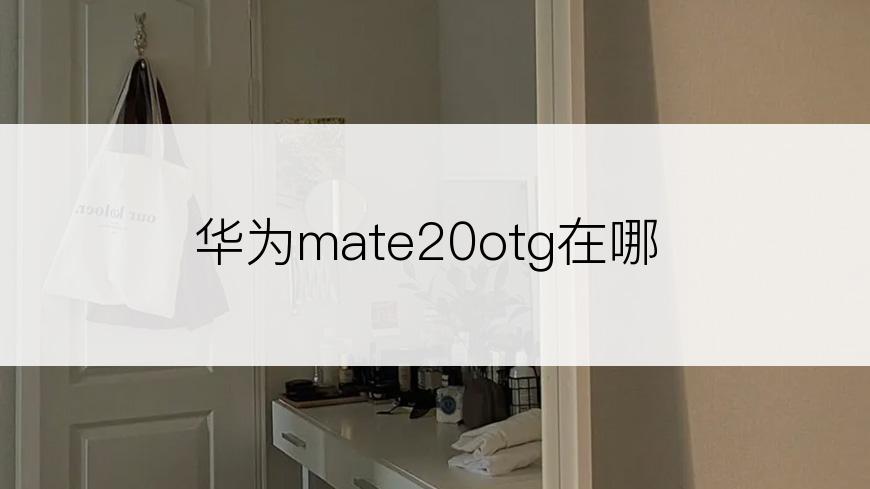 华为mate20otg在哪