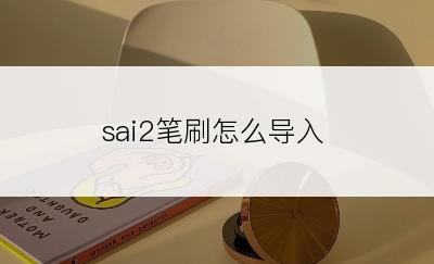 sai2笔刷怎么导入