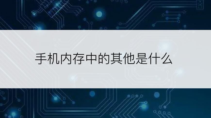 手机内存中的其他是什么