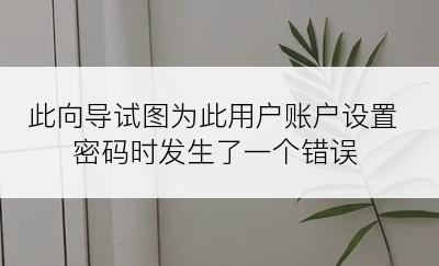 此向导试图为此用户账户设置密码时发生了一个错误