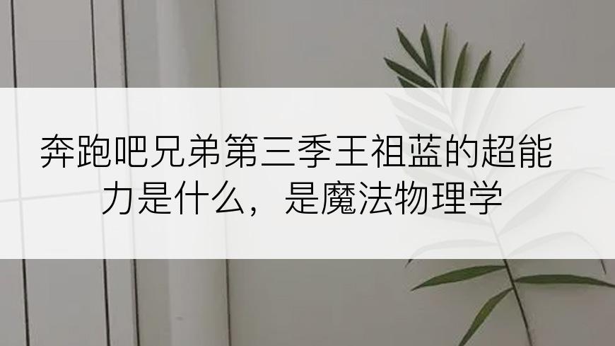 奔跑吧兄弟第三季王祖蓝的超能力是什么，是魔法物理学