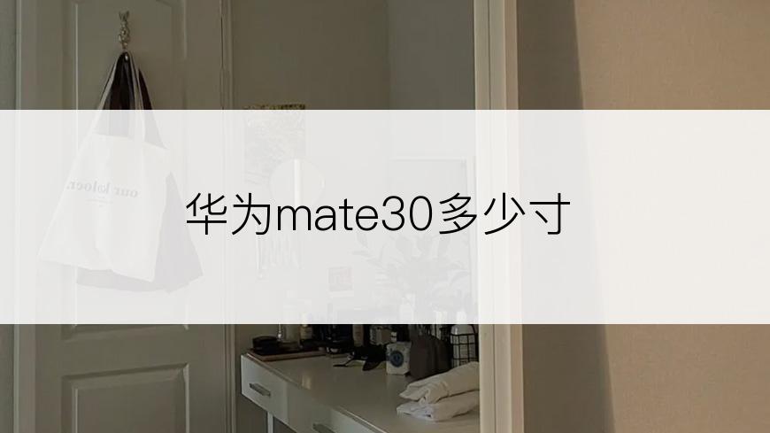 华为mate30多少寸