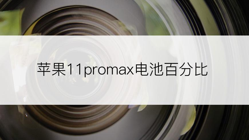 苹果11promax电池百分比