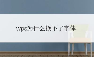 wps为什么换不了字体