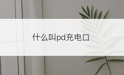 什么叫pd充电口