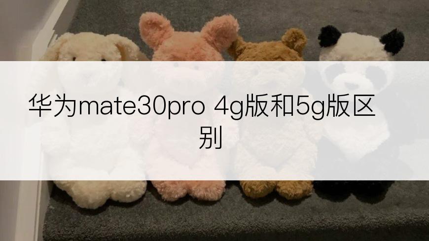 华为mate30pro 4g版和5g版区别