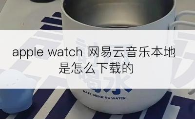 apple watch 网易云音乐本地是怎么下载的