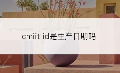 cmiit id是生产日期吗