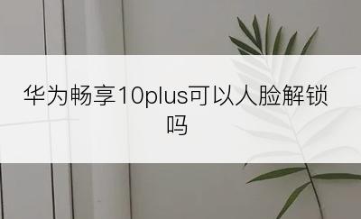 华为畅享10plus可以人脸解锁吗