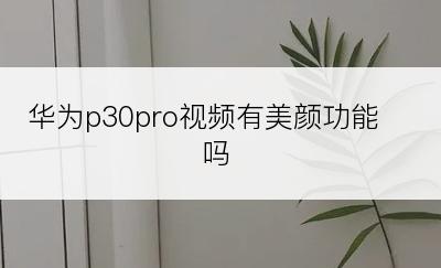 华为p30pro视频有美颜功能吗