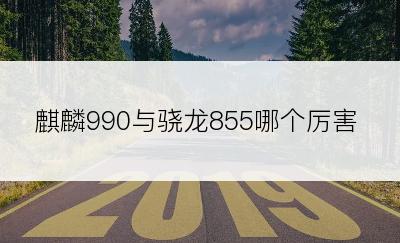 麒麟990与骁龙855哪个厉害