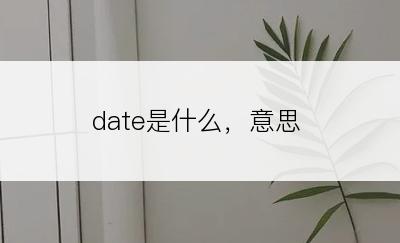 date是什么，意思