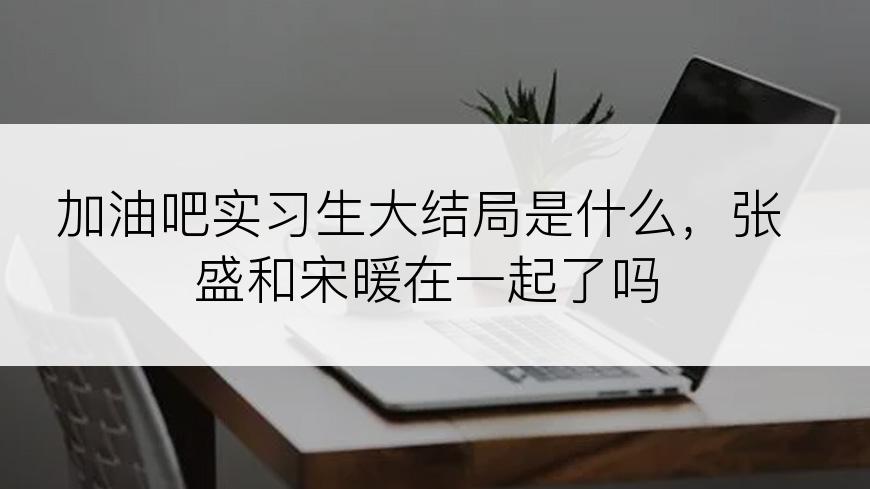 加油吧实习生大结局是什么，张盛和宋暖在一起了吗