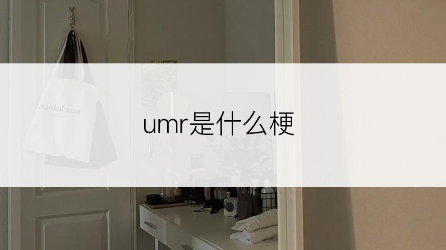 umr是什么梗