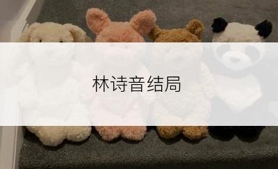 林诗音结局