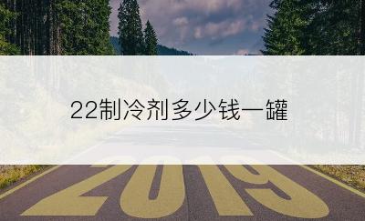 22制冷剂多少钱一罐