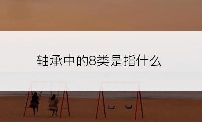 轴承中的8类是指什么