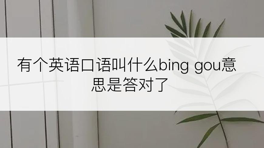 有个英语口语叫什么bing gou意思是答对了