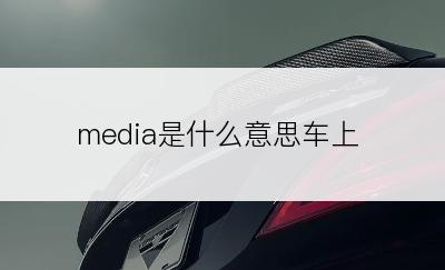 media是什么意思车上