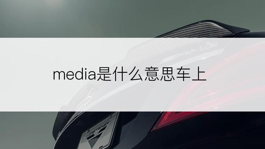 media是什么意思车上