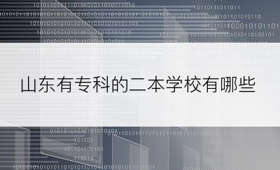 山东有专科的二本学校有哪些