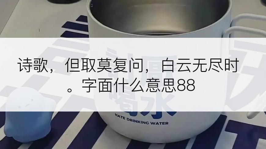 诗歌，但取莫复问，白云无尽时。字面什么意思88