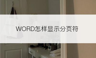 WORD怎样显示分页符