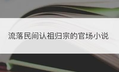 流落民间认祖归宗的官场小说