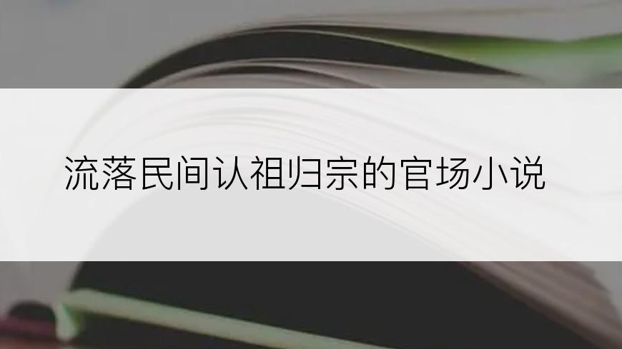 流落民间认祖归宗的官场小说