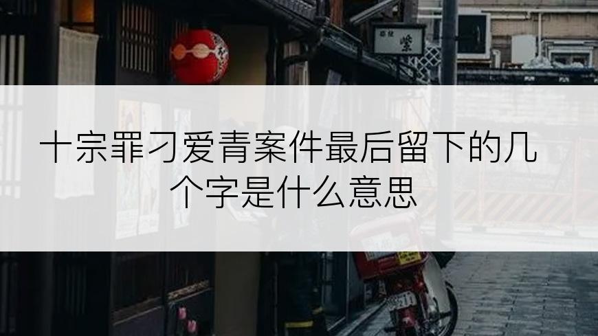 十宗罪刁爱青案件最后留下的几个字是什么意思