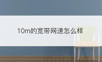 10m的宽带网速怎么样