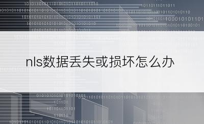 nls数据丢失或损坏怎么办