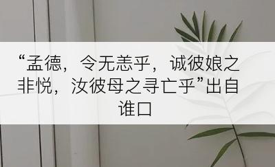 “孟德，令无恙乎，诚彼娘之非悦，汝彼母之寻亡乎”出自谁口