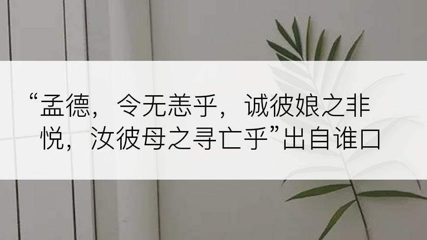 “孟德，令无恙乎，诚彼娘之非悦，汝彼母之寻亡乎”出自谁口