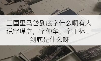 三国里马岱到底字什么啊有人说字瑾之，字仲华，字丁林。到底是什么呀