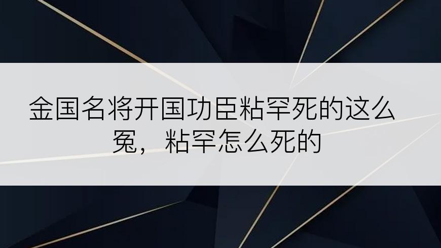 金国名将开国功臣粘罕死的这么冤，粘罕怎么死的