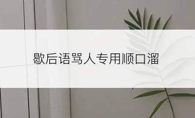 歇后语骂人专用顺口溜