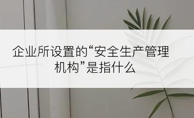 企业所设置的“安全生产管理机构”是指什么