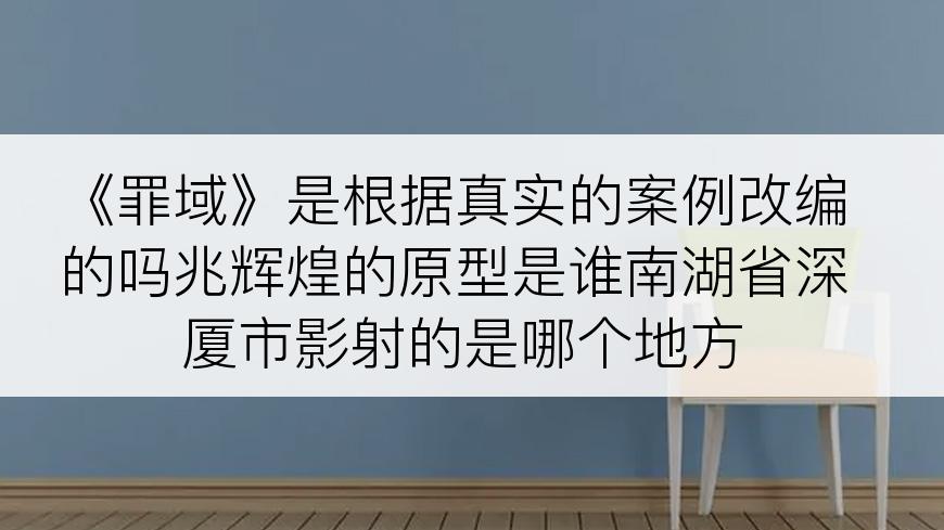 《罪域》是根据真实的案例改编的吗兆辉煌的原型是谁南湖省深厦市影射的是哪个地方