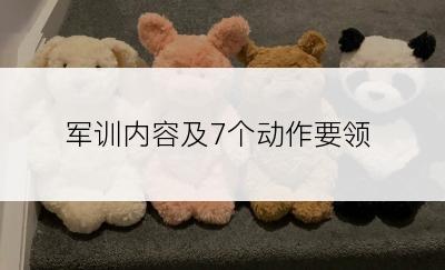 军训内容及7个动作要领