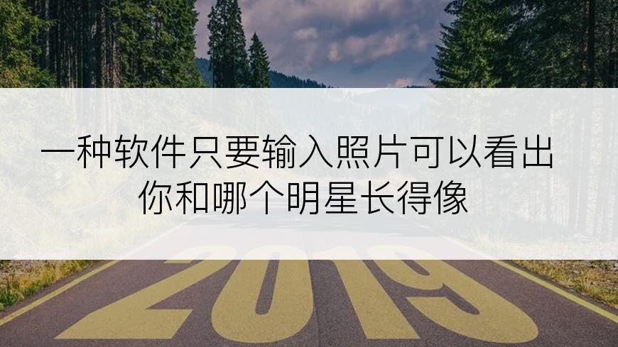 一种软件只要输入照片可以看出你和哪个明星长得像