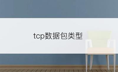 tcp数据包类型