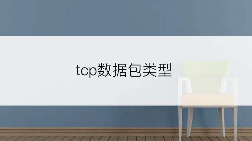 tcp数据包类型