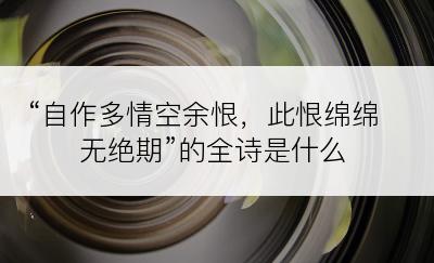 “自作多情空余恨，此恨绵绵无绝期”的全诗是什么